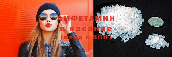 хмурый Алексин