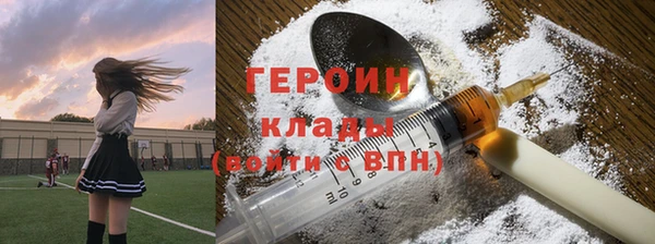хмурый Алексин