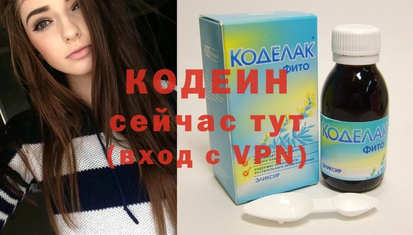 хмурый Алексин