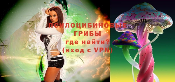 spice Алексеевка