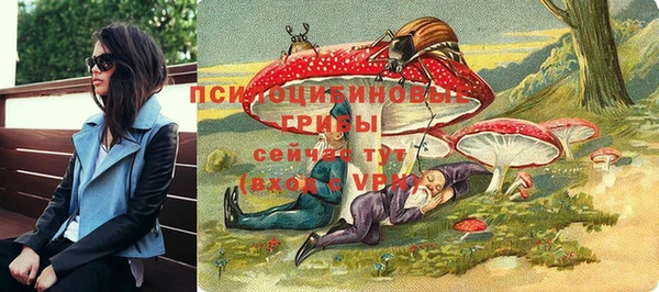 хмурый Алексин