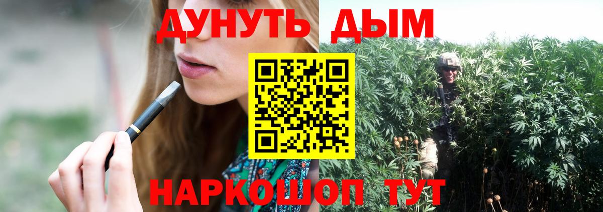 Конопля гибрид Похвистнево